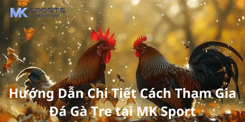 Hướng dẫn chi tiết cách tham gia đá gà tre tại mk sport