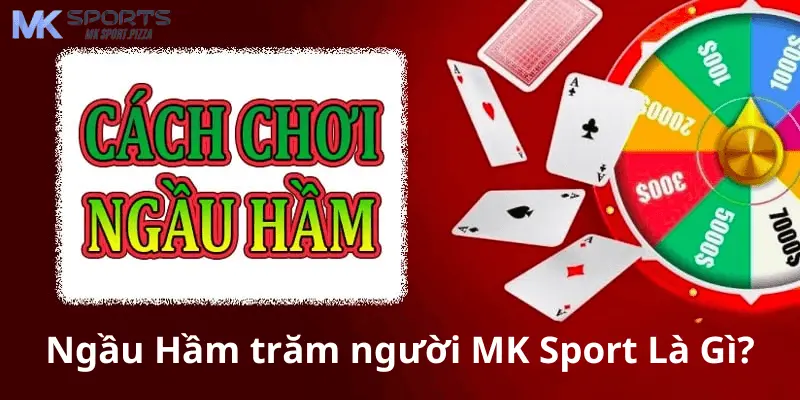 Ngầu Hầm trăm người  MK Sport Là Gì?