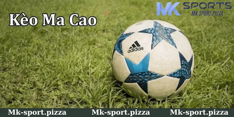 Kinh Nghiệm Cá Cược Tỷ Lệ Kèo Ma Cao tại Mk Sports